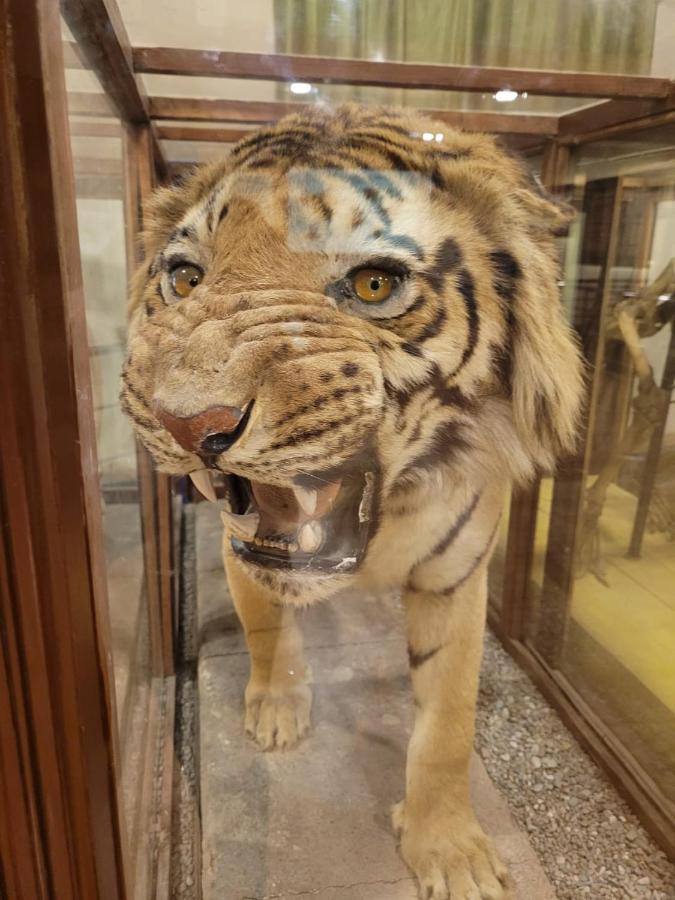 Corbett Veda Inn Ramnagar  Luaran gambar